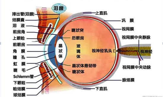 QQͼƬ20190726103225.png